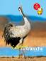 Preview: Entdecke die Kraniche